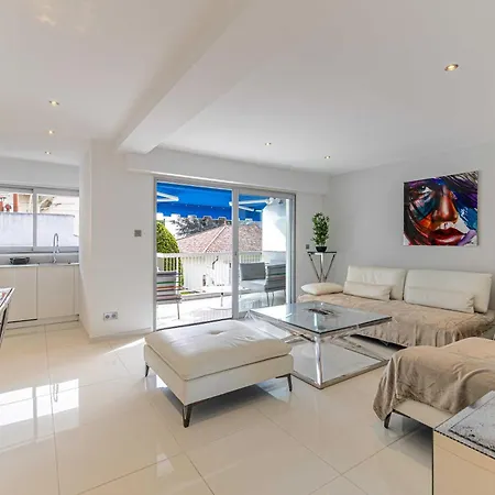 Apartment Beautiful With Sunny Terrace Cannes